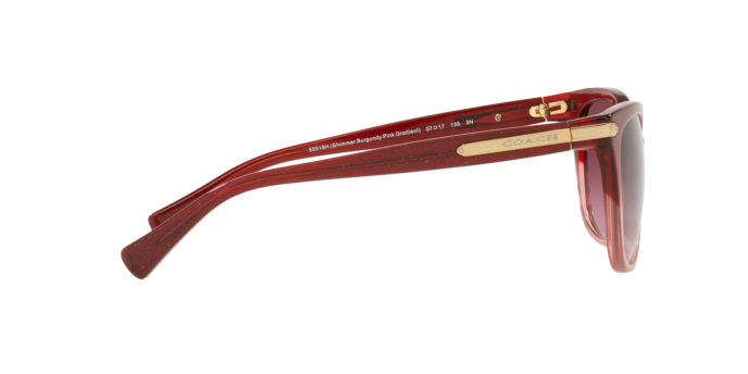 Coach HC8132 55518H L109 